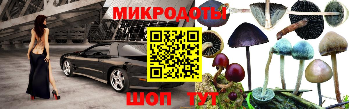 Соликамск  Псилоцибиновые грибы ЛСД  Вход с VPN 
